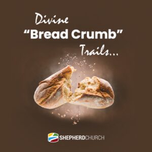 Divine “Bread Crumb” Trails ~ Series