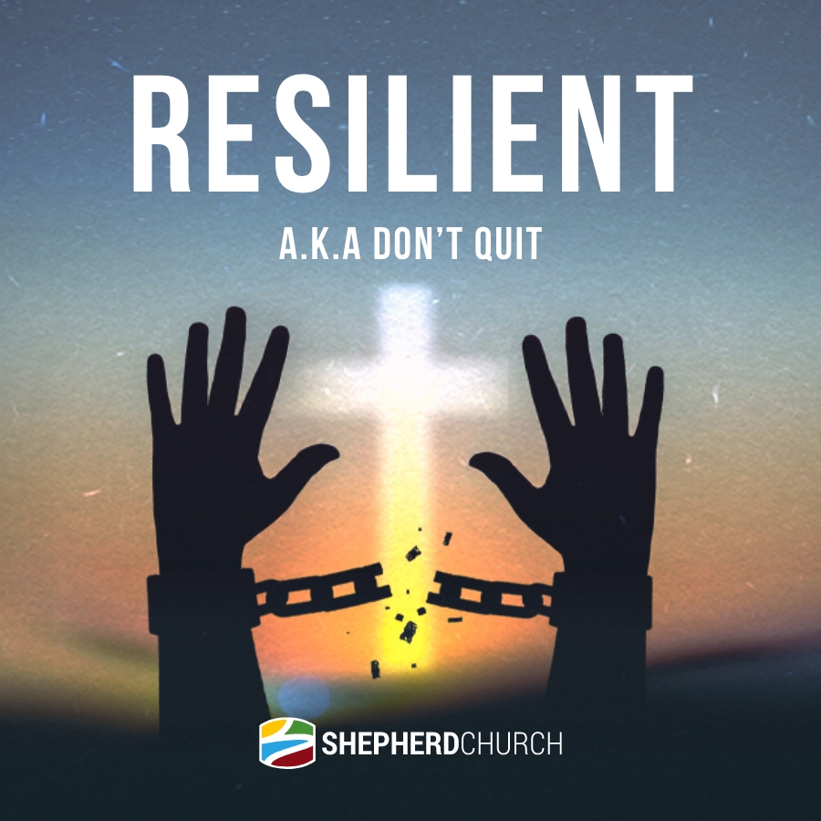 Resilient ~ Series